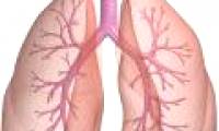 Japan identifies genes that cause lung cancer