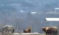 Japan uses agricultural land for renewable energy