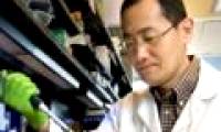 Japanese scientist and stem cell story