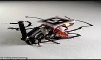 Japanese scientists implant machines into cockroaches, forcing them to serve humans