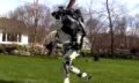 Jumping robot is like a human causing fever