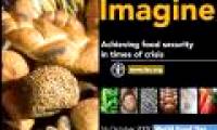 Keeping food security during the economic crisis