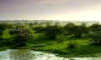 Keoladeo National Park - India