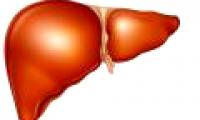 Korea determines the mechanism of hepatitis C to damage the liver