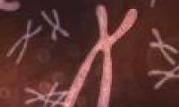 Korea developed a substance that prevents metastatic cancer