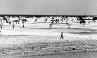 Lake turned into desert because of climate change