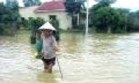 Lam Dong: floods caused 2 deaths