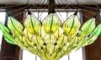 Lamp absorbs CO2 and releases oxygen as a green tree