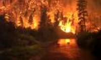 Large fires burned 1,500 hectares of forests in Chile