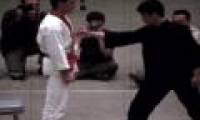 Learn about Bruce Lee's