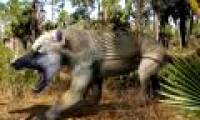 Learn about the extinct dog bear in history