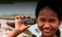 Learning about fish with Lucky Fish helps prevent anemia