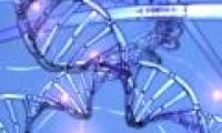 Let DNA make matchmaking