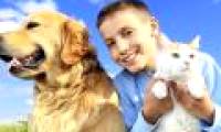 Living in the countryside, growing up with animals will help us less depressed