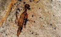 Looking at 10,000-year-old paintings, experts wonder: Could the Earth have been designed in advance?