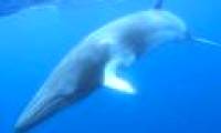 Love transcends the earth of giants