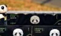 Luxury paper towels made from panda poop: Would you like to use it?