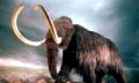 Mammoths can be revived