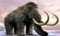 Mammoths can 'reborn' and rescue the Arctic