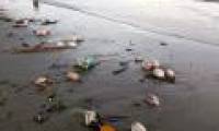 Many 'strange' egg-shaped objects appear in Tra Co beach