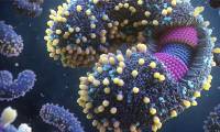 Many worrying new discoveries: Viruses are increasingly dangerous to humanity