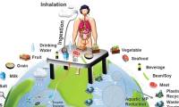 Map of human ingestion of microplastics