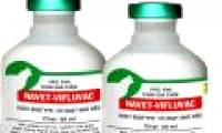March 2012: Launching H5N1 vaccine for poultry