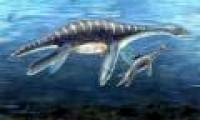 Marvel at ancient creatures