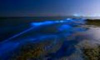Marvel at the exotic blue shores of China