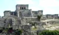 May Maya civilization collapse due to deforestation?