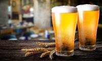 Maybe you don't know: Beer was created from a mistake