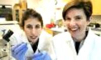 Medical progress makes people happy: Heart patch with 3D technology