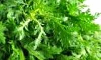 Medicine flavor from chrysanthemum