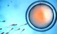 Men are about to cure infertility by an extremely simple method