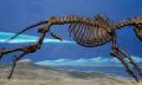 Men used to have bones at that place but because they were faithful, they were no longer there