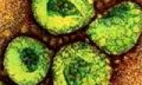 MERS-CoV virus is less likely to spread into epidemics