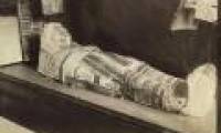 Messages from ancient Egyptian mummies more than 2000 years ago were decoded