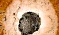 Meteorites fall and create a giant double hole in Sweden
