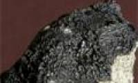 Meteors show signs of life outside of Earth