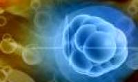 Methods for cancer cells to destroy themselves