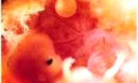 Miraculous abilities of babies