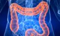 Mistletoe extract helps treat colon cancer