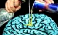 Mixing alcohol with energy drinks is easy to cause alcoholism