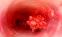 Molecular mechanism that regulates blood clotting