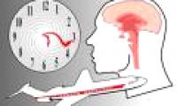 Molecules act on human biological clocks