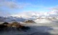 Mosses and insects once dominated Antarctica