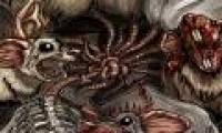 Mouse king - rare and dangerous horror phenomenon