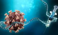 mRNA technology could help treat heart attacks
