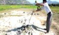 Mud 'strange' in Ninh Thuan: Unable to survey due to lack of funding