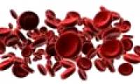 Multi-trait growth helps regenerate blood cells